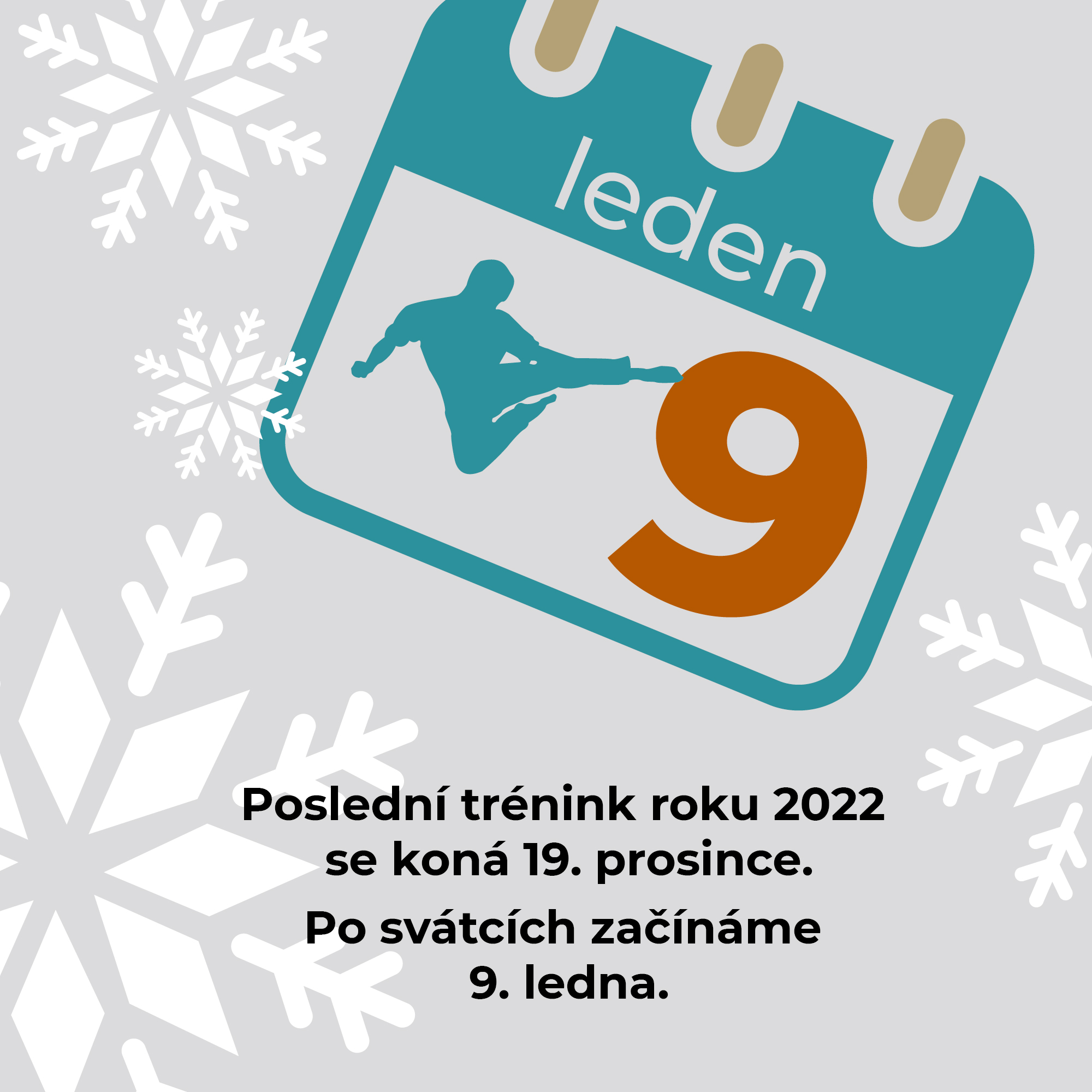 Poslední trénink roku 2022 se koná 19. prosince. Po svátcích začínáme 9. ledna.